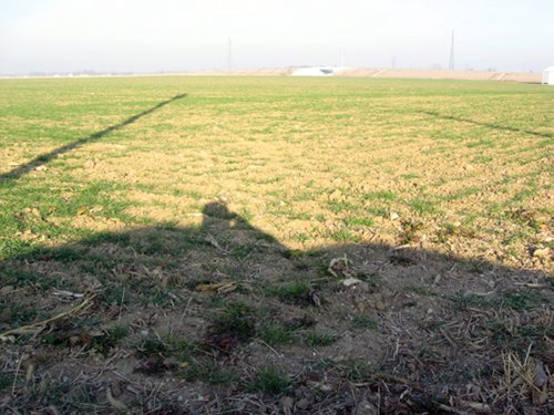 Property photo 2 - 60 Acres Offered in 2 Tracts